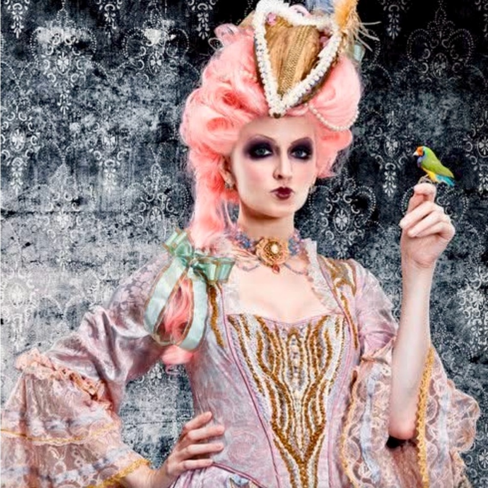 Vintage Beautiful Costume Collection LOOK